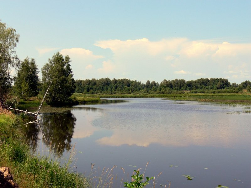 Река моча Московская область