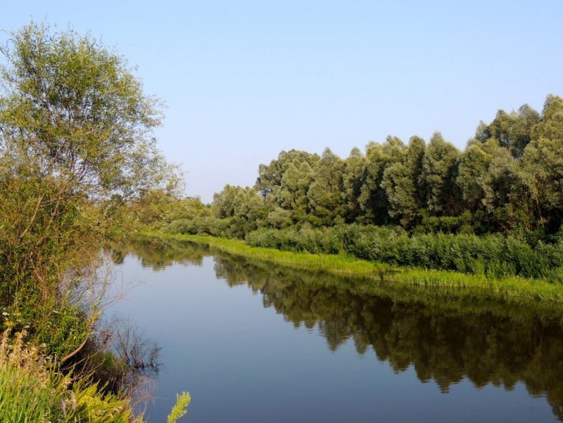 Река Волга Старица