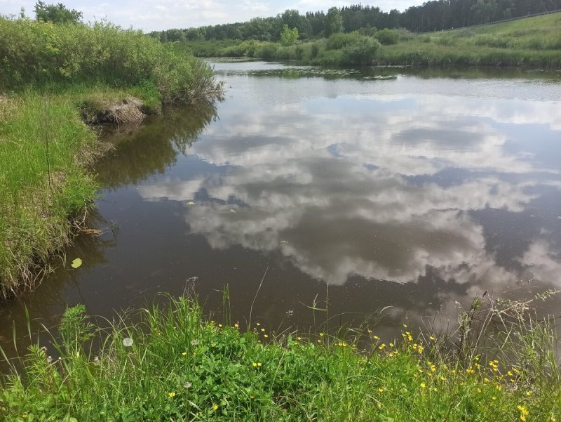 Река Увелька Челябинской области