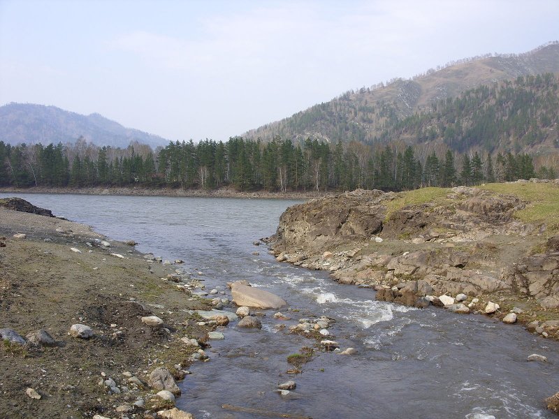 Река белая Алтай