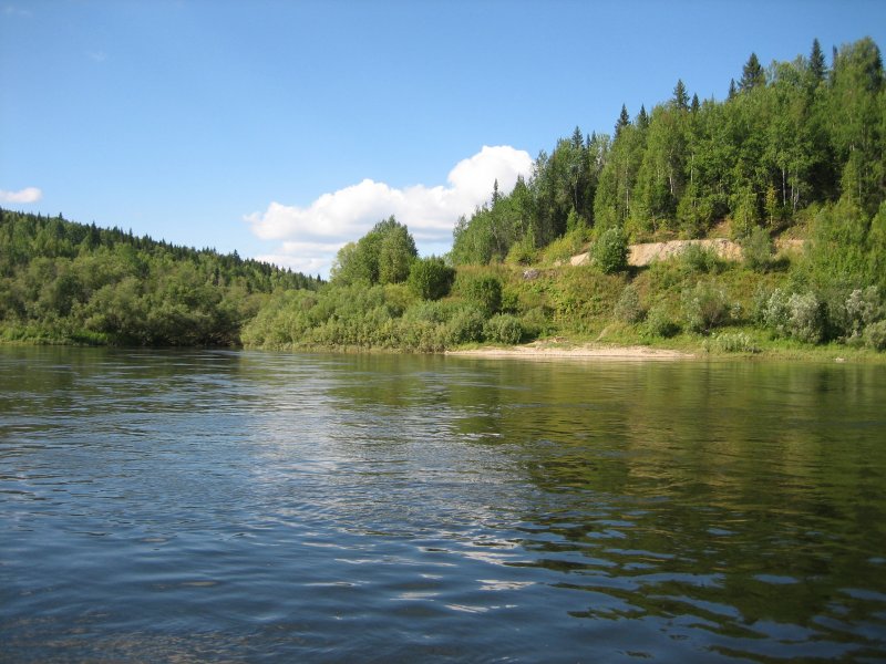 Река Щугор рыбалка