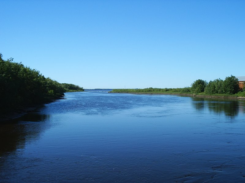 Река Заостровка Архангельская
