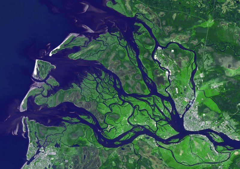 Дельта реки Северная Двина