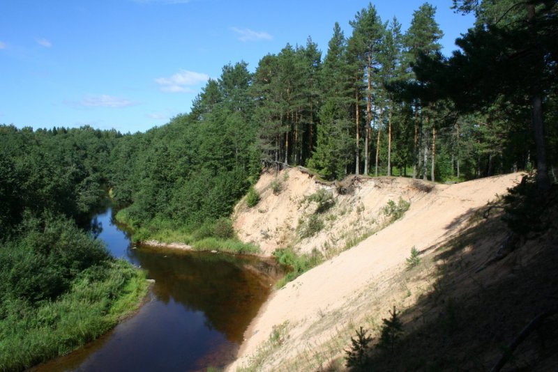 Река Полометь в Новгородской области