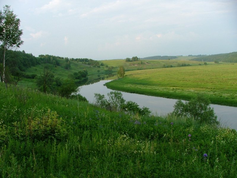 Щекинский район река УПА