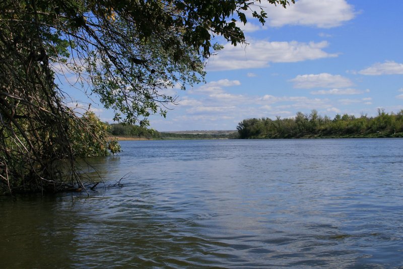 Река Терса Елань Волгоградской области