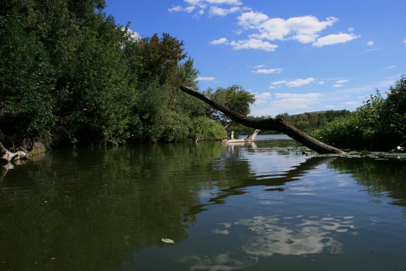 Река Елань Воронежская область