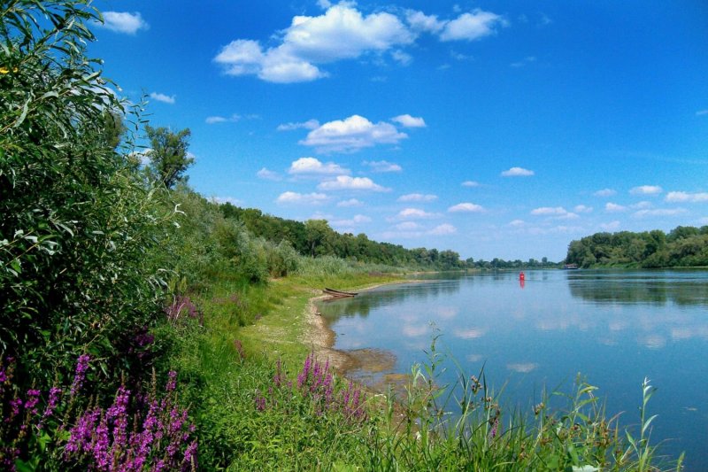 Лето река Башкирия
