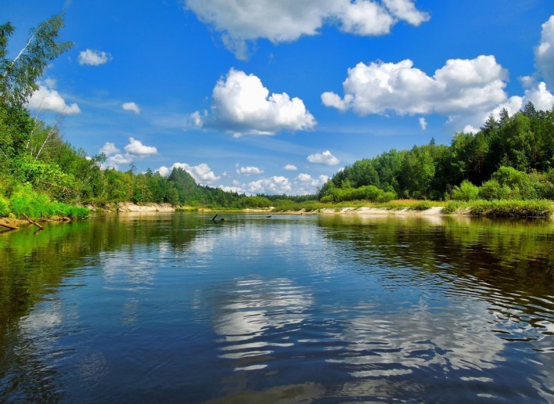 Река Веневка в Тульской области