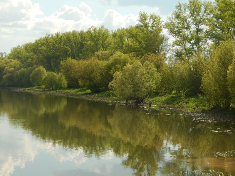 Река Сосенка Прокшино
