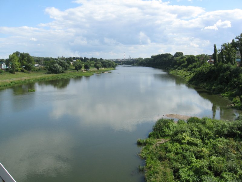 Река сосна Липецкая