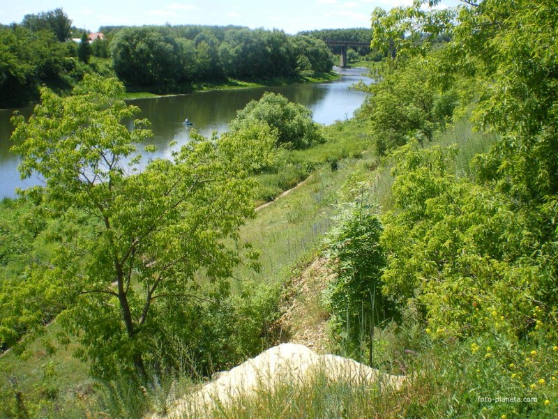 Река сосна Орловская область Ливны