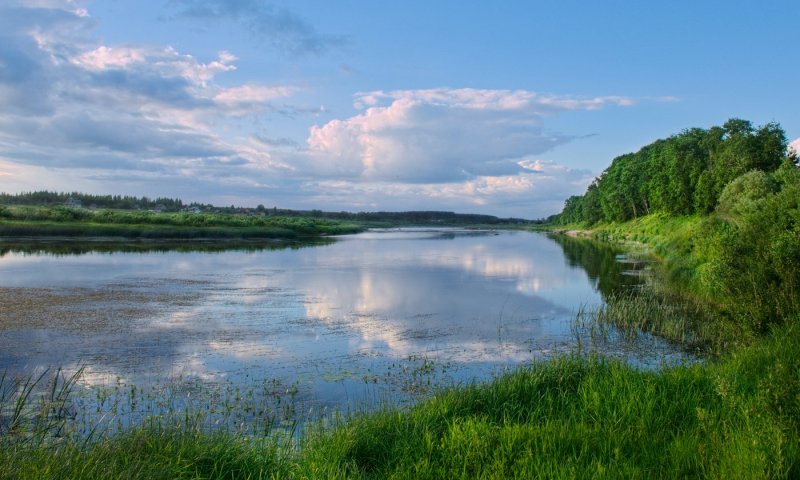 Река Тихая сосна Воронежская