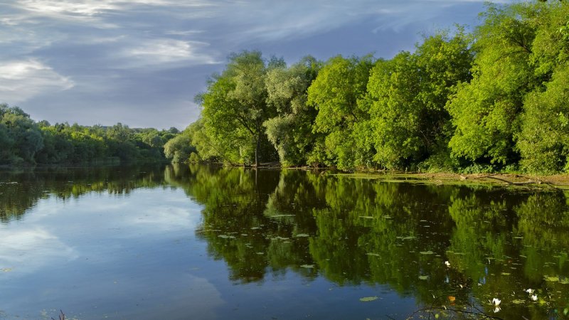 Река Тихая сосна Дивногорье