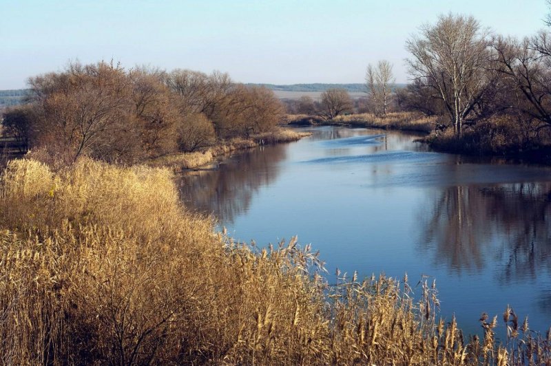 Река Тихая сосна Воронежская область