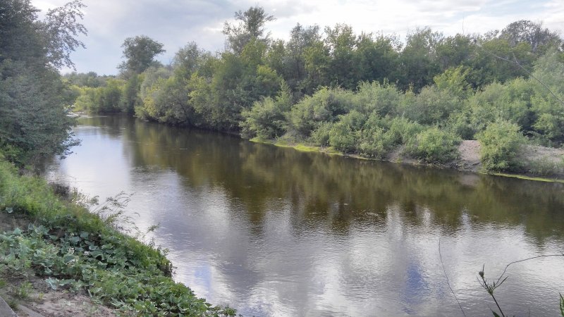 Река Чапаевка в Самарской области