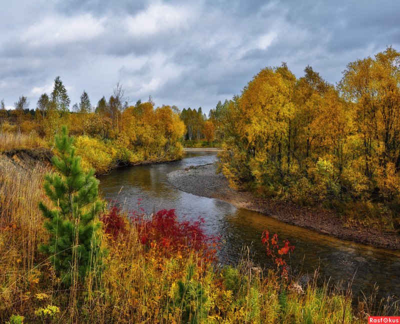 Река Волхов Золотая осень