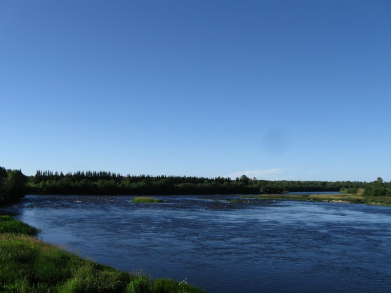 Устье реки Онеги