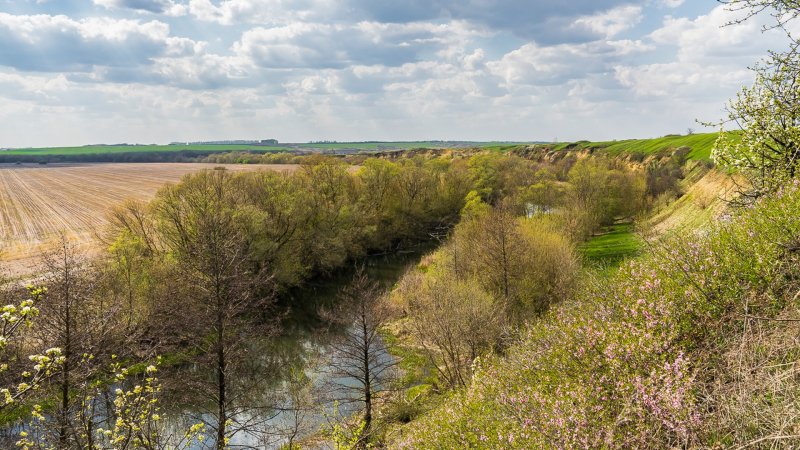 Река Кшень Орловская