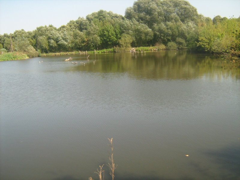 Природа Липецкой области Воронеж река