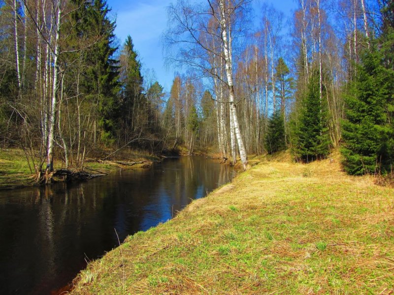 Природа Московской области