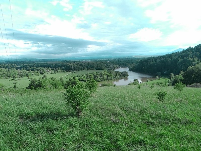Река Иша Алтайский край
