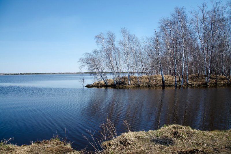 Река Омь Омская область
