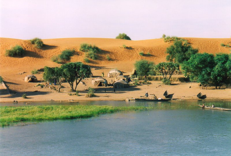 Фауна реки нигер