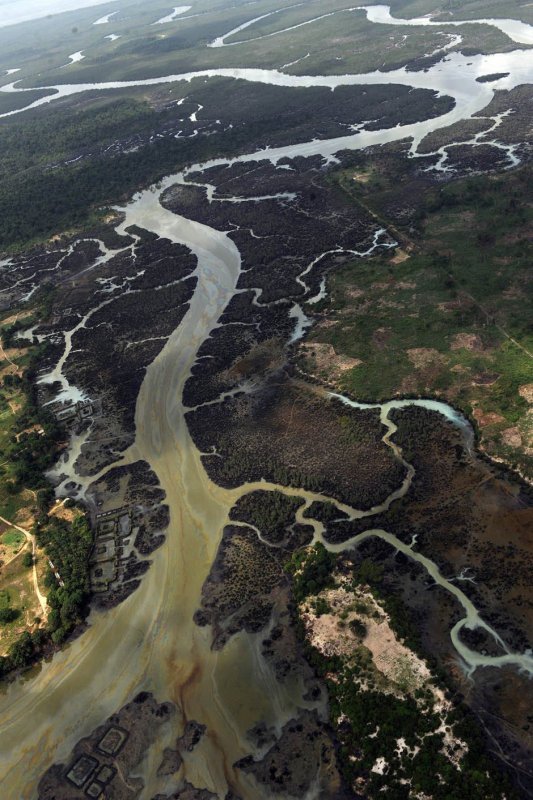 Богатства реки нигера