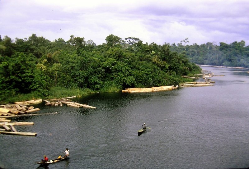 Нигерия река Бенуэ