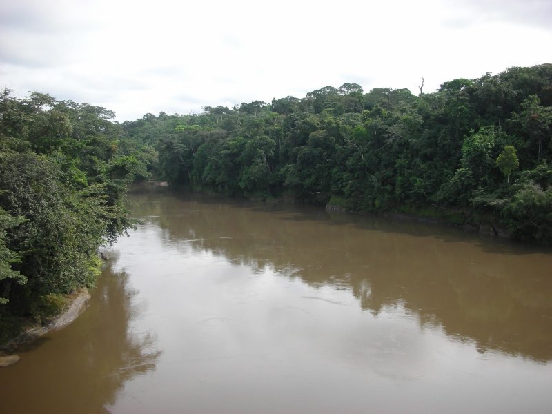 Красивый фото реки нигер