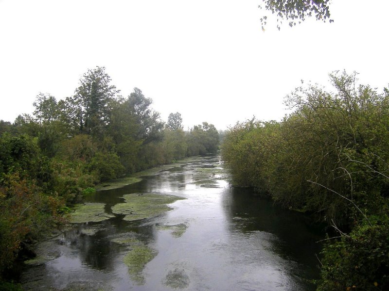 Река Велью в Республике Коми