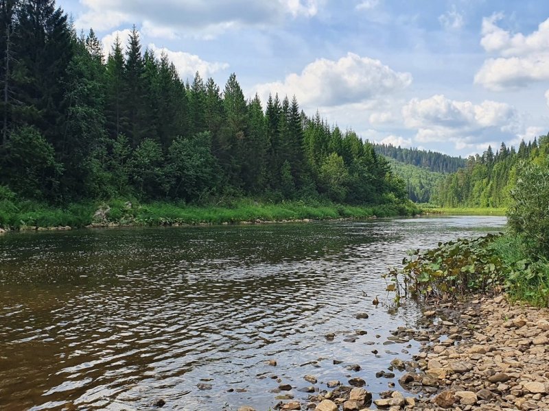 Река Вижай Пермский край