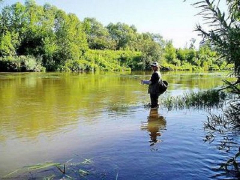 Река мёша Татарстан рыбалка