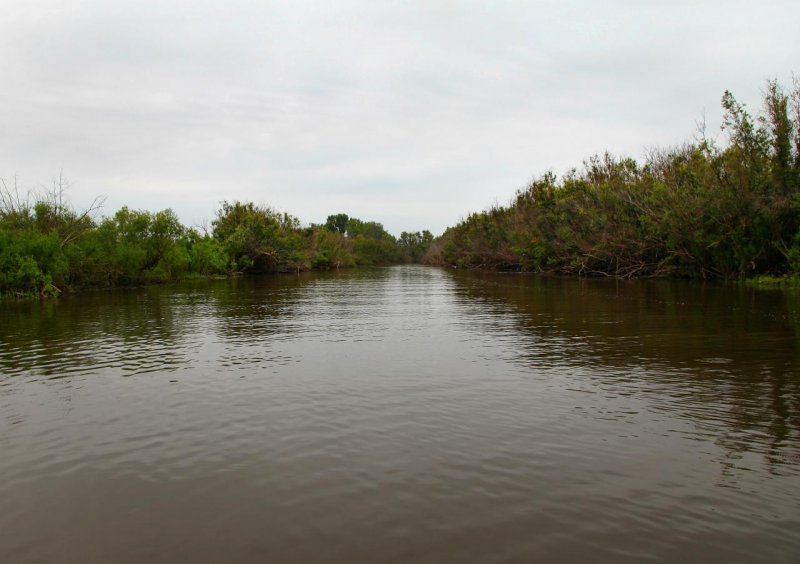 Река протока Славянск на Кубани