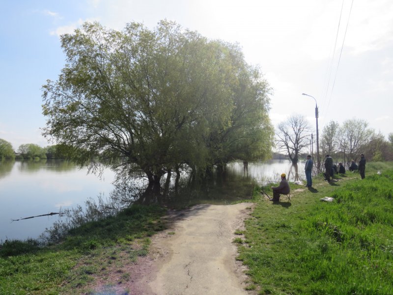 Река Кубань и протока в Славянске на Кубани