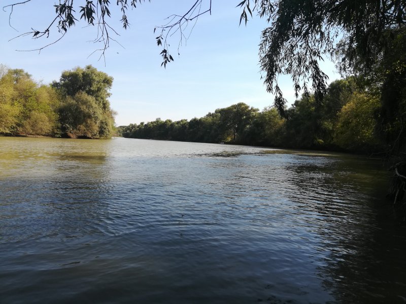 Река Кубань и протоки