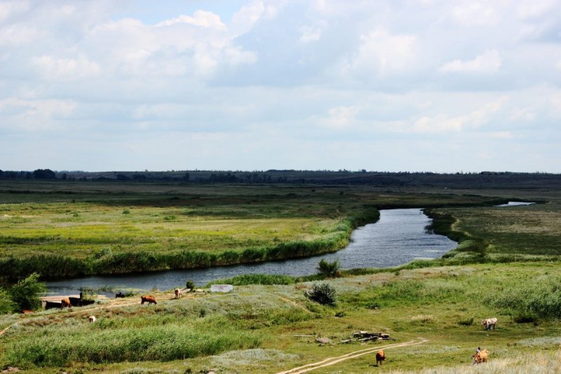 Река Бузулук Волгоградская область