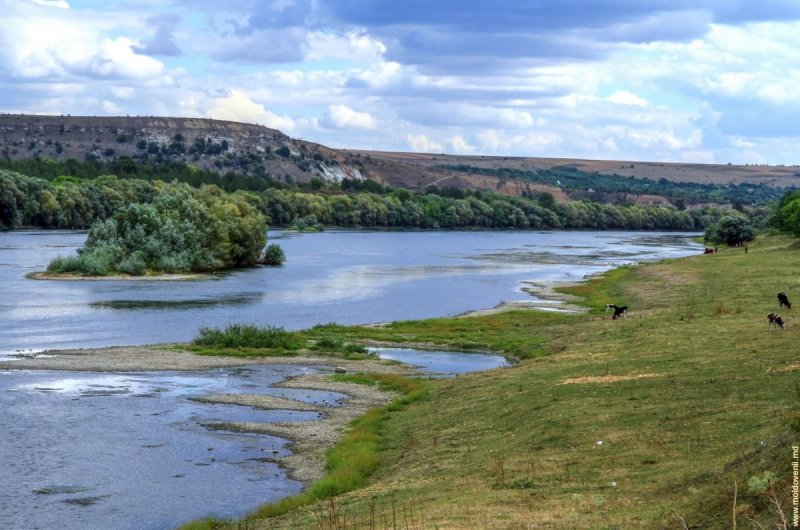 Молдавия река Днестр