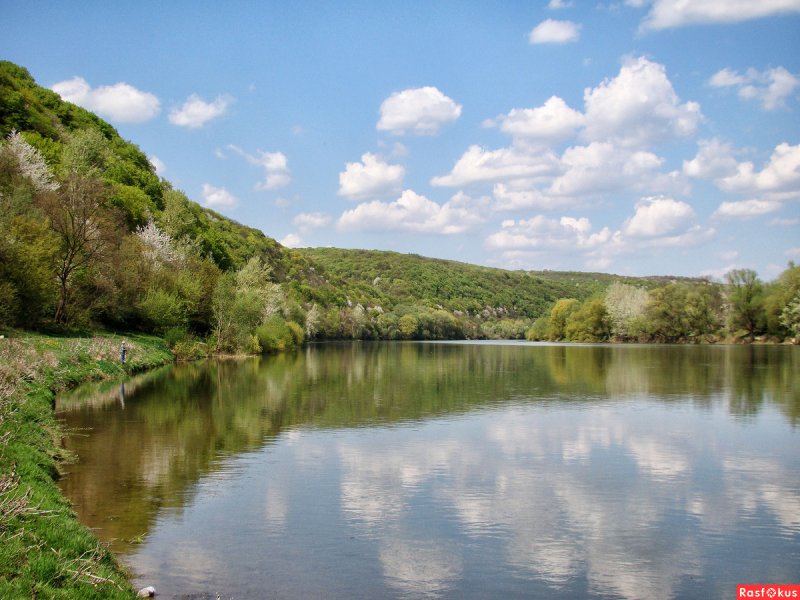 Молдавия природа Днестр