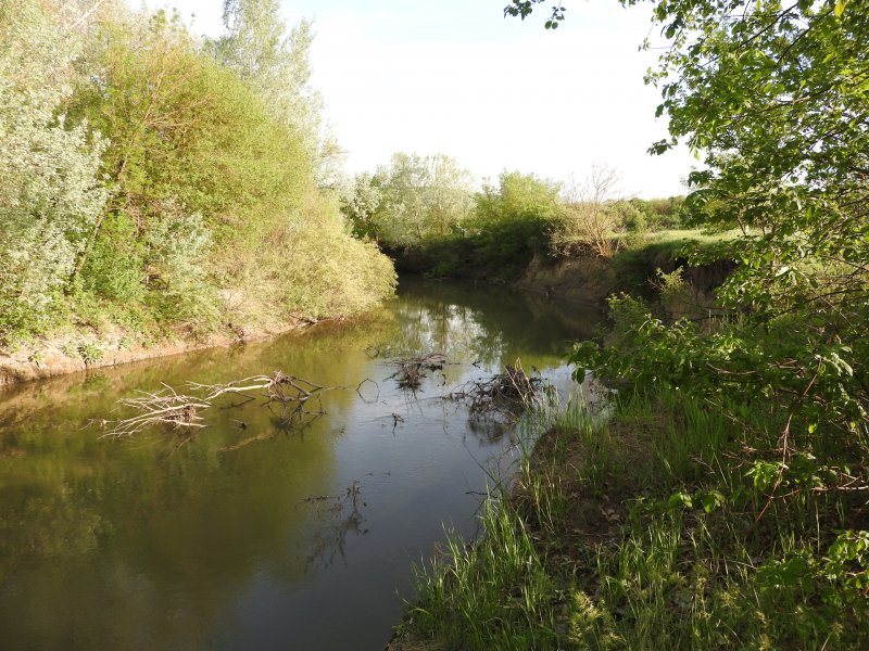Река кума х Анжиевский