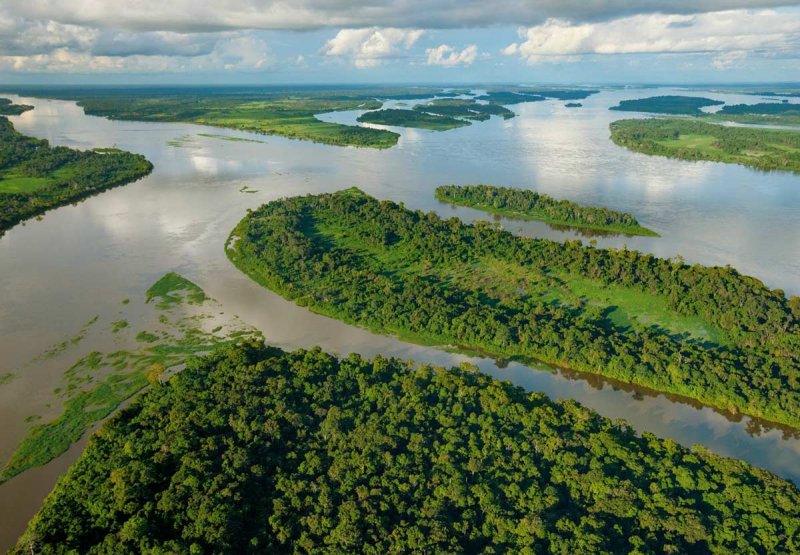 Бассейн реки Конго