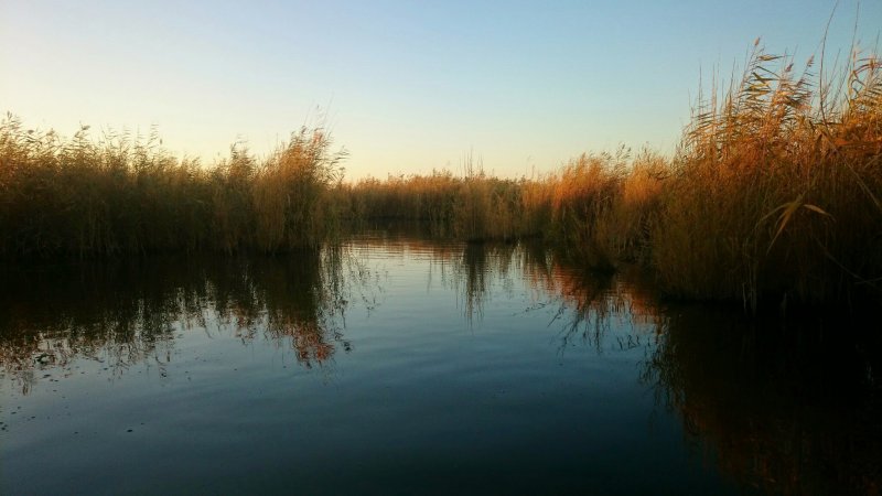Река Амата в Латвии фото