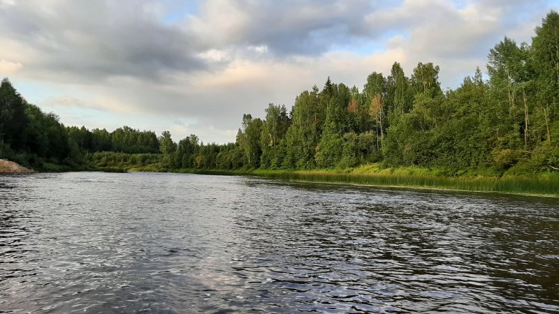 Река суда Вологодская область