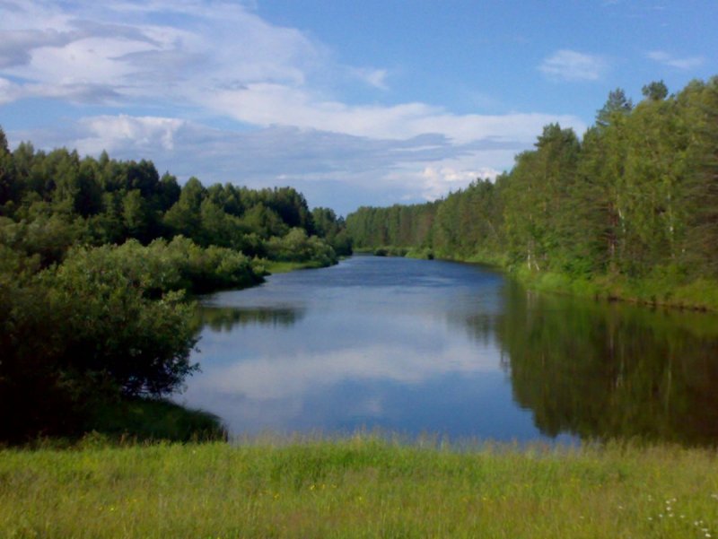 Река Колпь Вологодская область