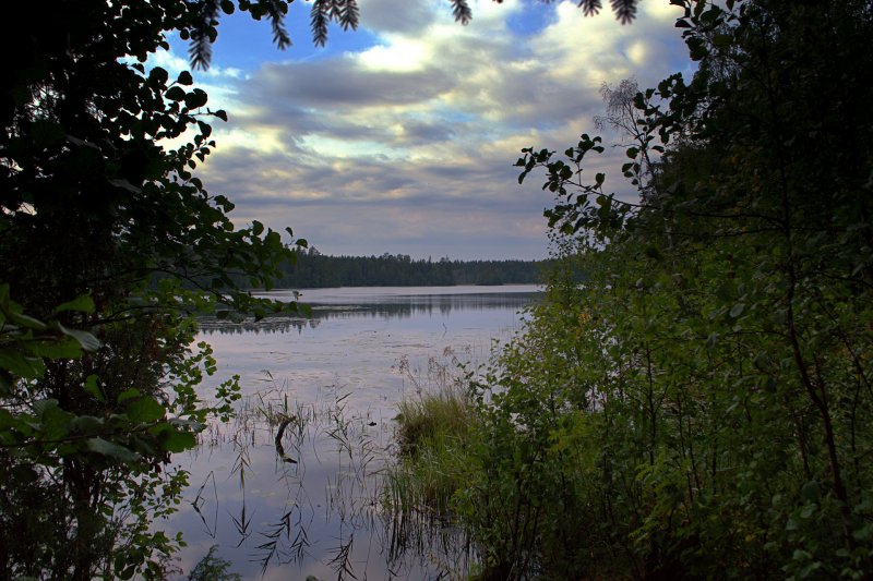 Река Колпь Селивановский район