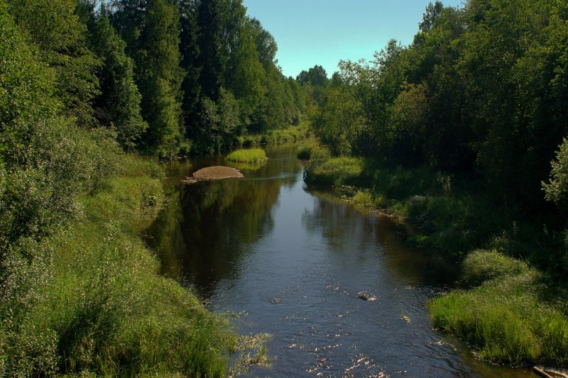 Река Колпь Вологодская область