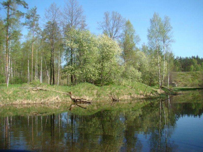 Колпь река Вологодская