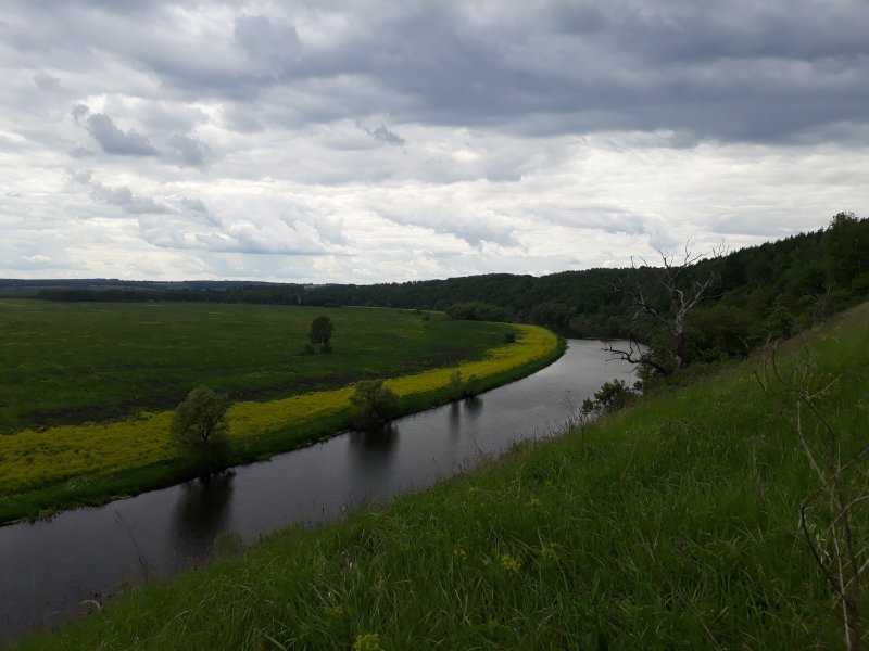 Красивые реки Орловской области