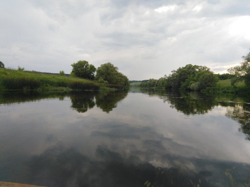 Река Зуша Новосиль